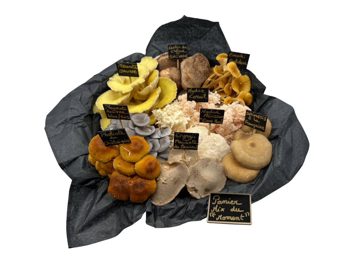 Le mix de la semaine